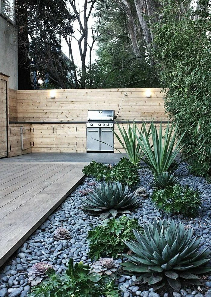 Vente Privee Jardinage Vente Privee Jardinage Le Cycas Du Japon Est Une Plante Décorative Ressemblant Au Palmier